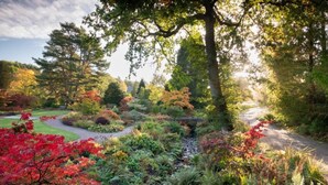 A garden with a variety of trees and shrubs, a pathway, and a small stream. - Crowne Plaza Harrogate by IHG (Harrogate)