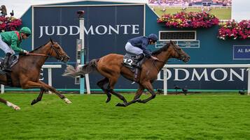 Una carrera de caballos con jinetes montados, un gran cartel azul con el texto 'JUDD MONTE', y una multitud de fondo.