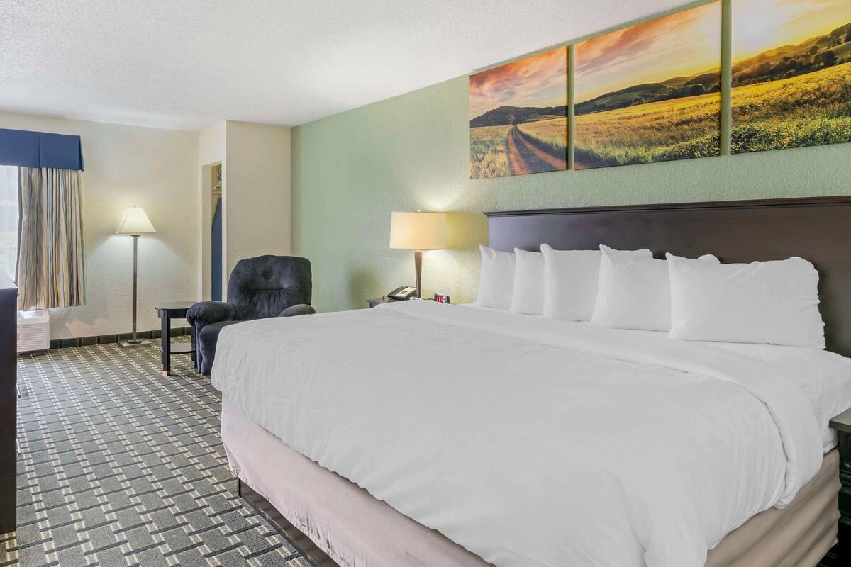Hypo-allergenic bedding, in-room safe, laptop workspace