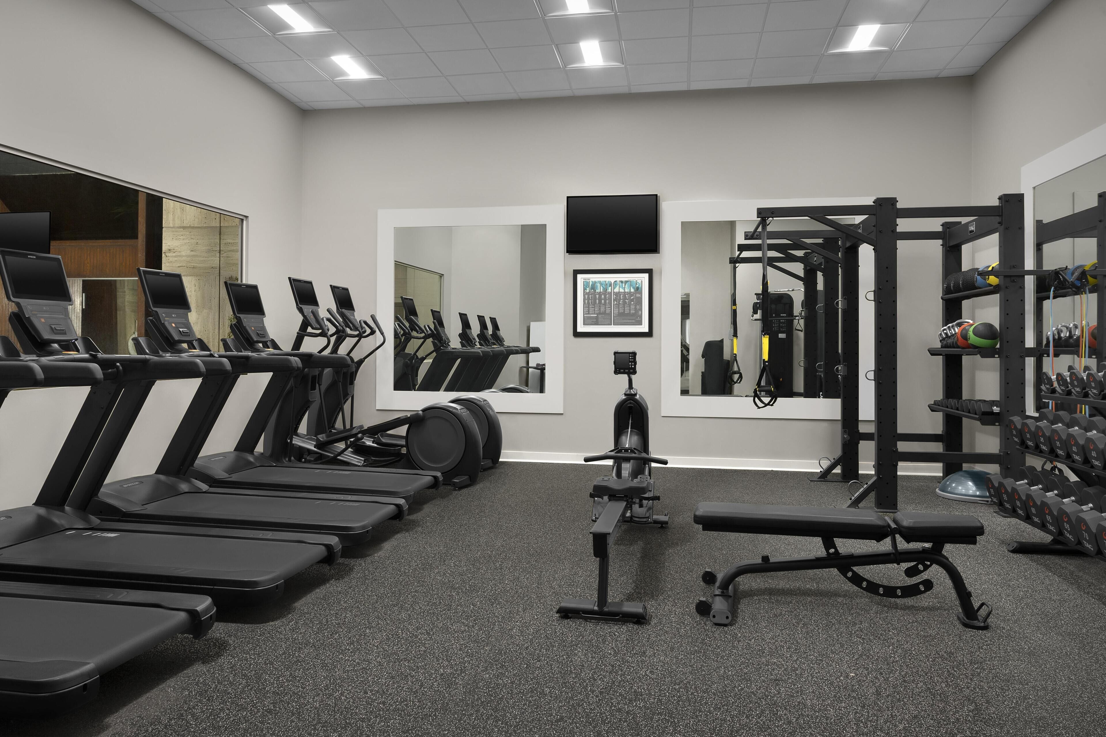 A gym with treadmills, a rowing machine, and weightlifting equipment.