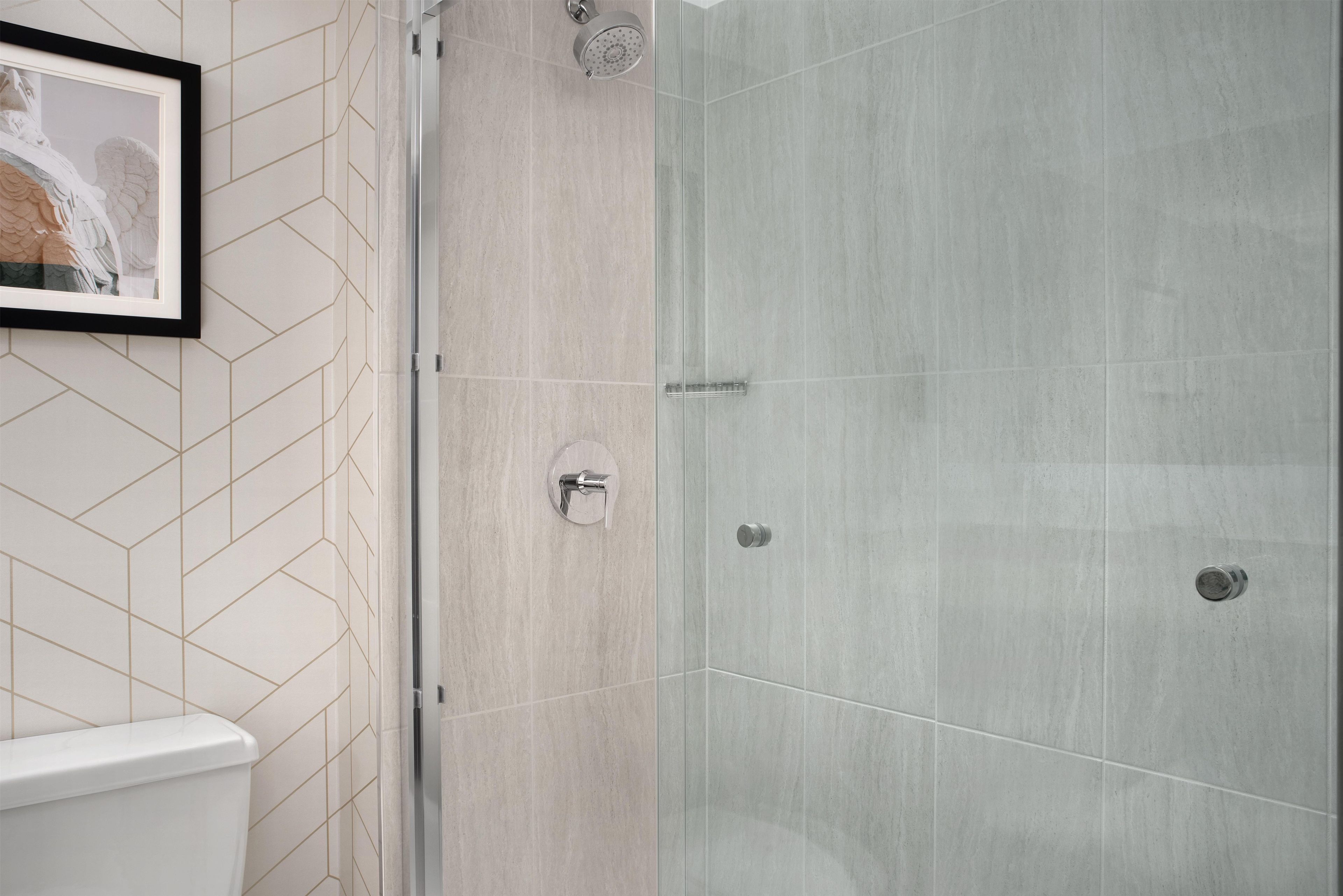 Un baño con ducha, inodoro y un cuadro en la pared.