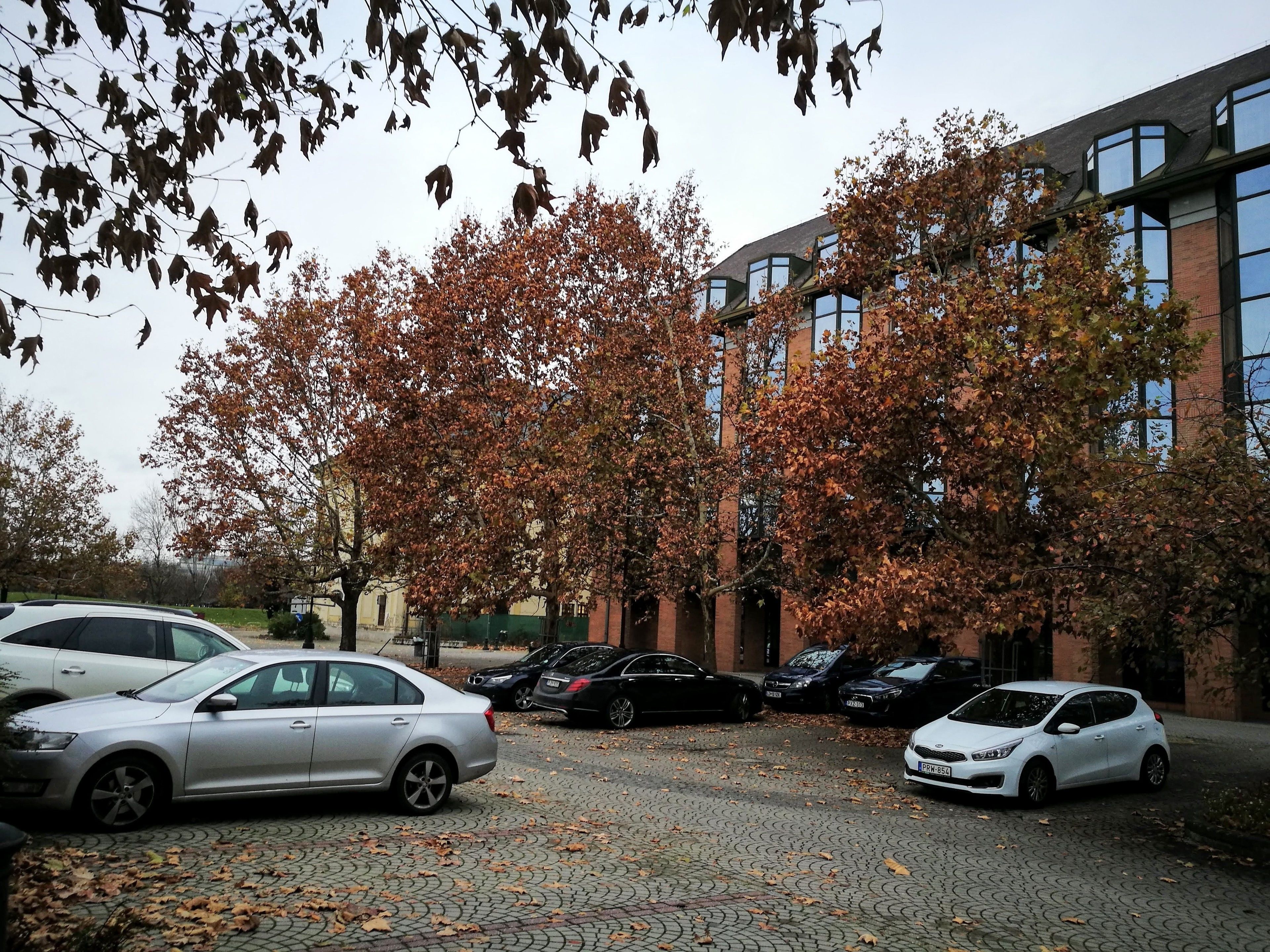 Parkering