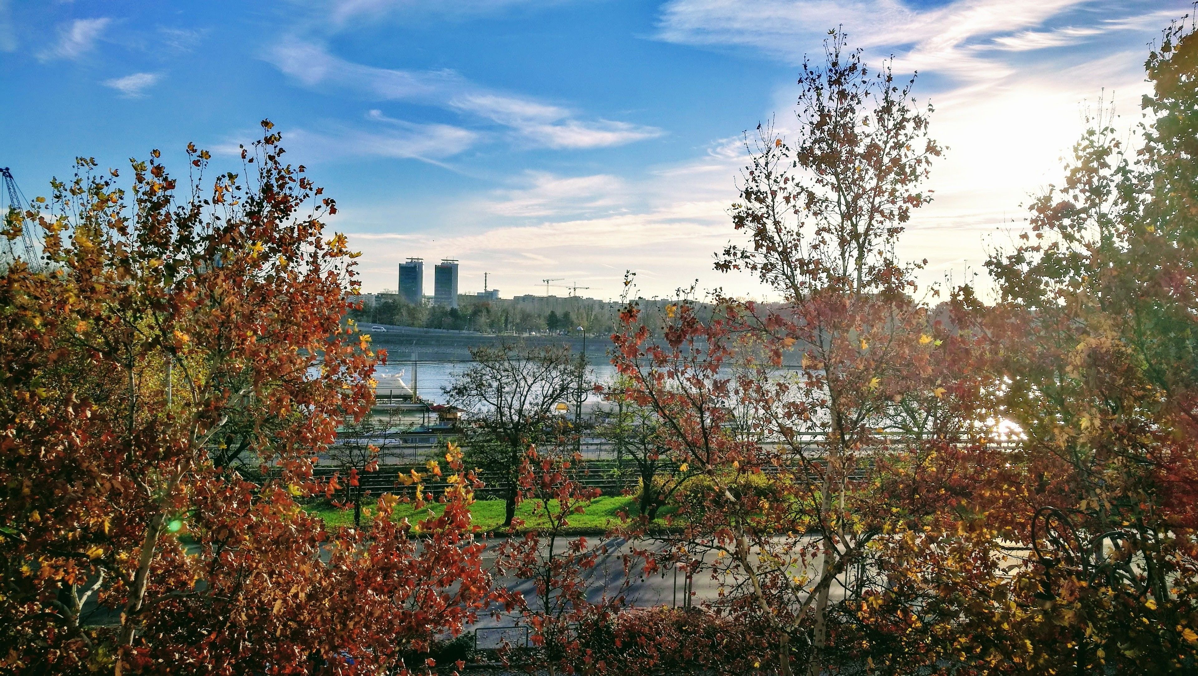 Een park met herfstkleuren, een rivier en gebouwen in de verte.