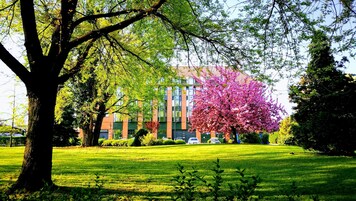 Jardín
