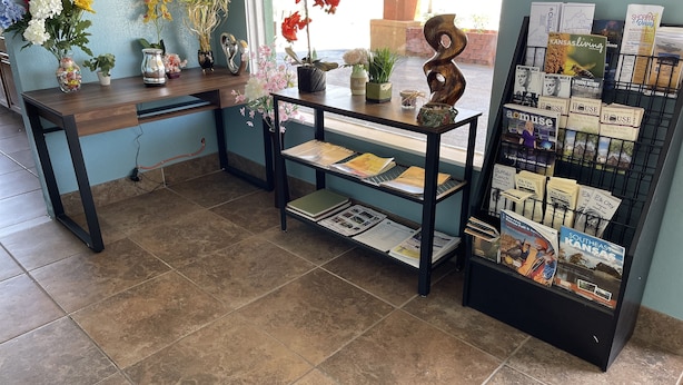 Zona de recepción con un escritorio de madera, una estantería metálica negra que exhibe folletos y diversas plantas en macetas.