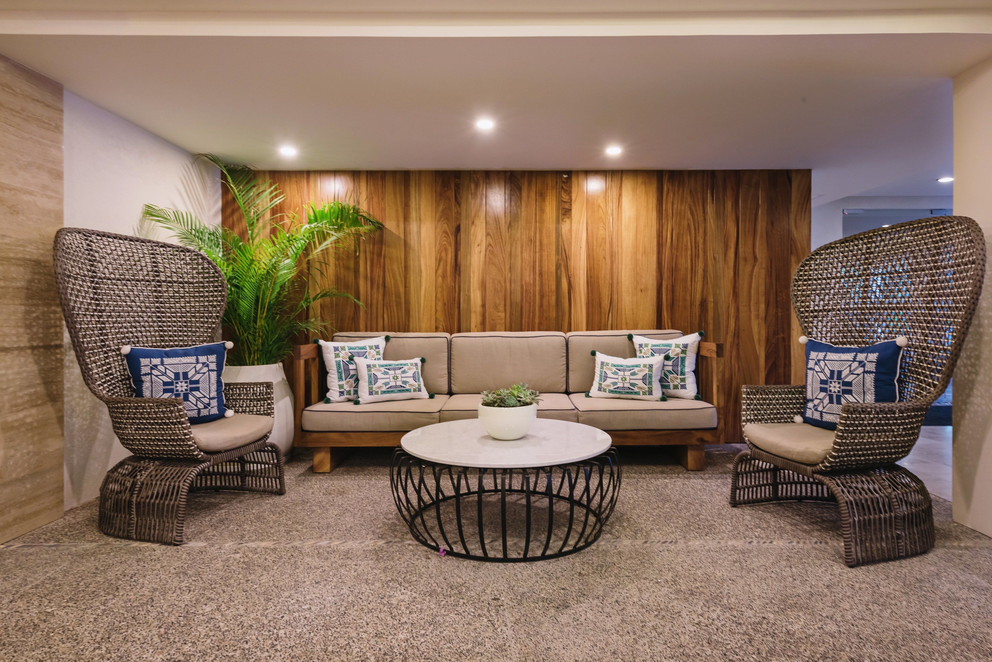 A modern living room with a sofa, two wicker chairs, a coffee table, and a large plant.