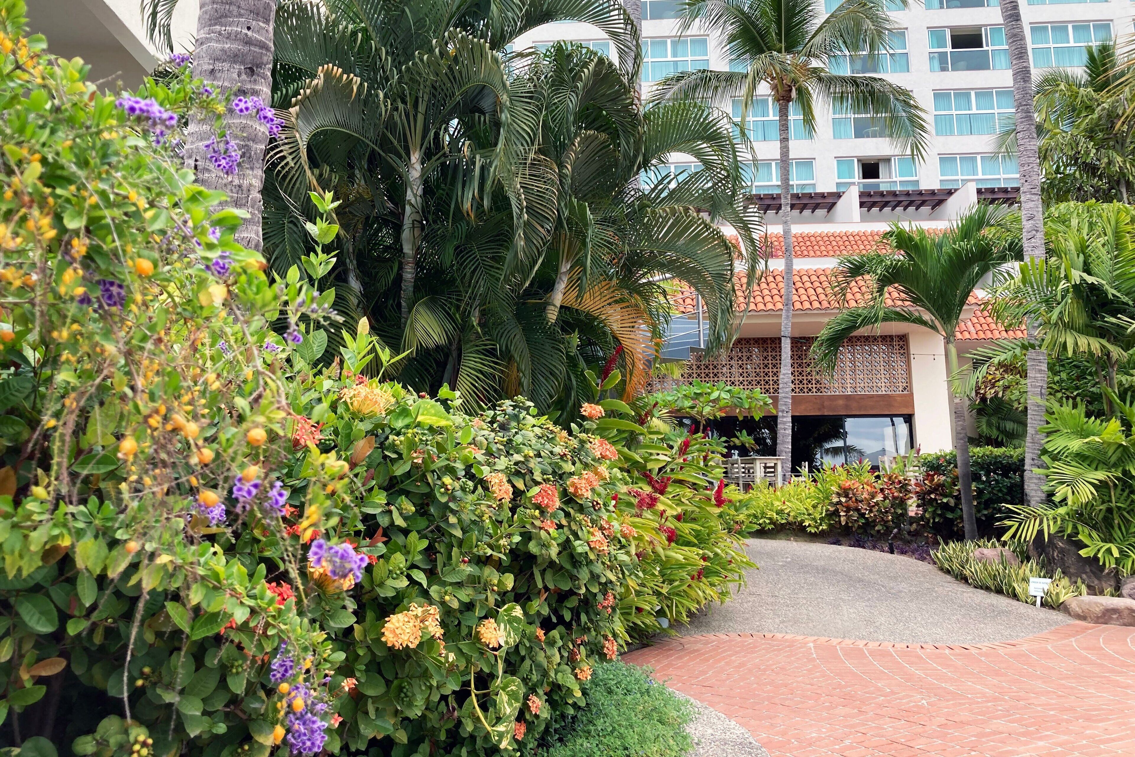 Photo - Sheraton Buganvilias Puerto Vallarta