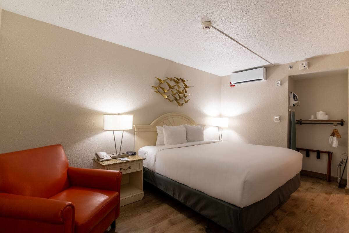 Room, 1 King Bed, Accessible, Pool View | Desk, laptop workspace, blackout drapes, iron/ironing board
