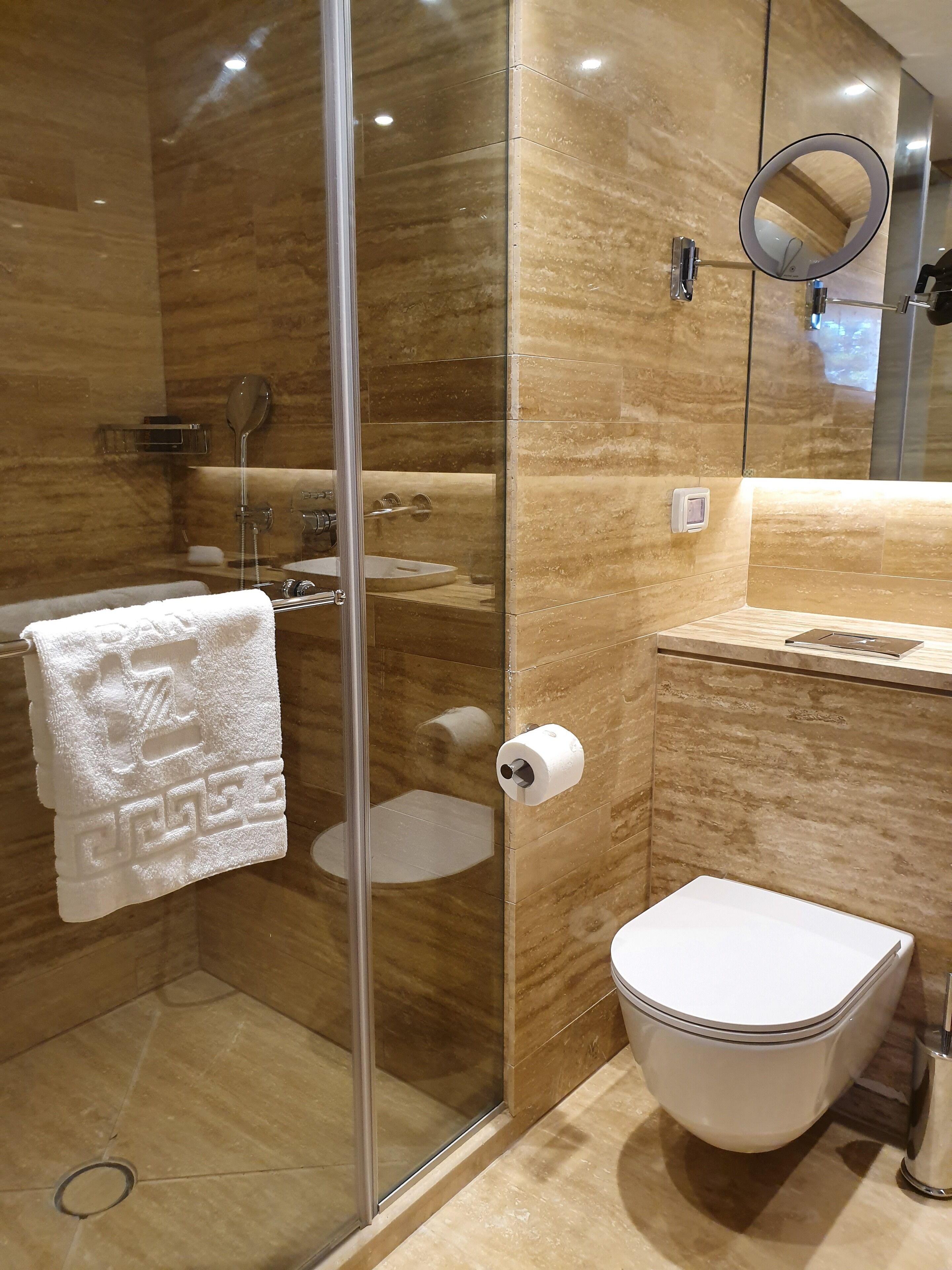 A modern bathroom with a glass shower enclosure, a toilet, and a sink.