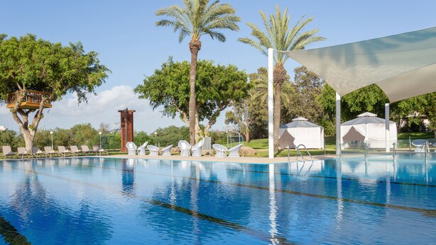 Una piscina con sillas de descanso, palmeras y una zona con sombra.