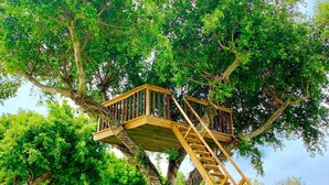 Una casa en el árbol con una escalera de madera construida en un árbol grande, rodeada por un área verde con sillones de descanso y una tienda de campaña.