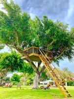Una casa en el árbol con una escalera de madera construida en un árbol grande, rodeada por un área verde con sillones de descanso y una tienda de campaña.