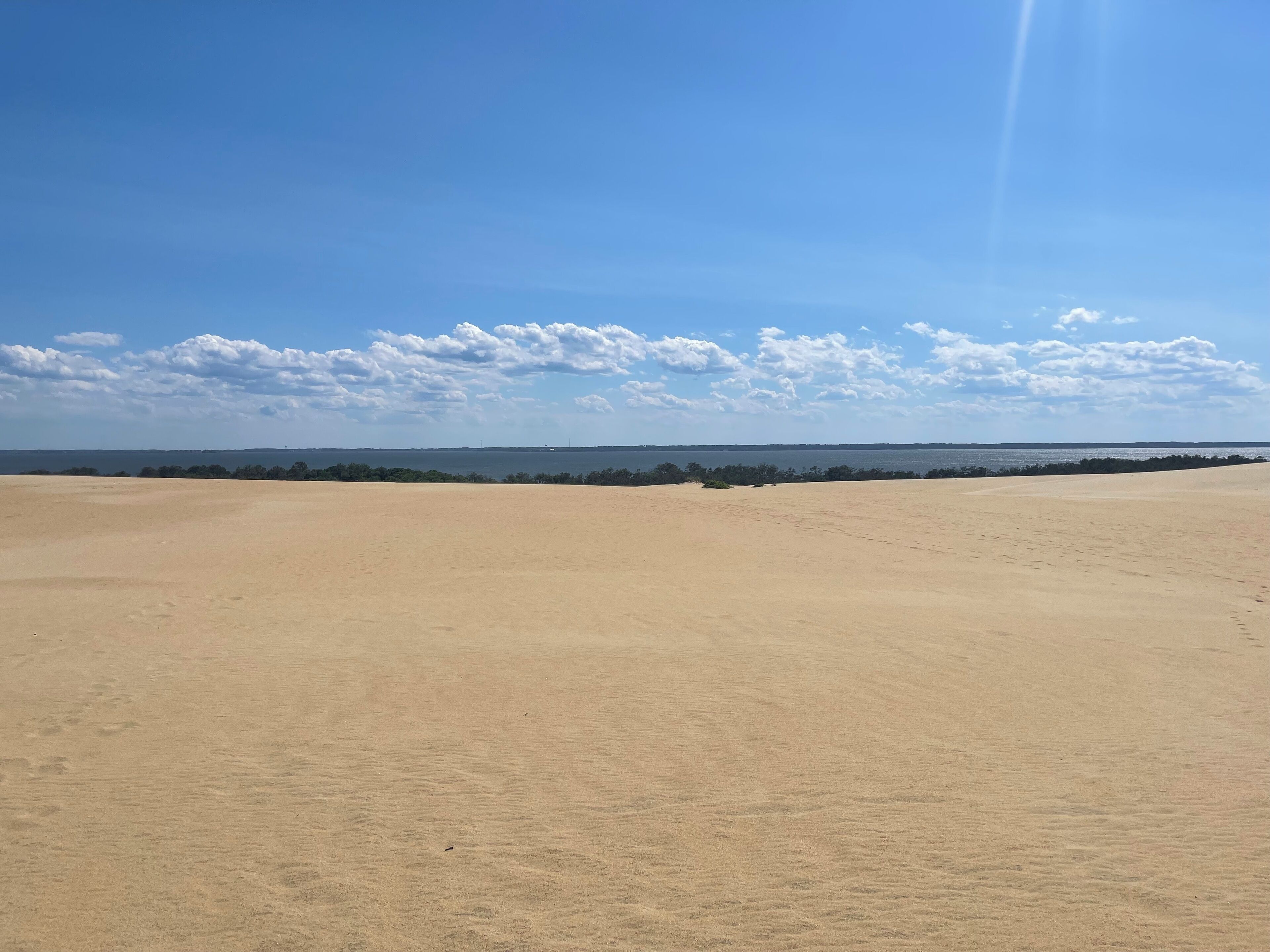 A vast sandy landscape with a clear sky and distant trees.