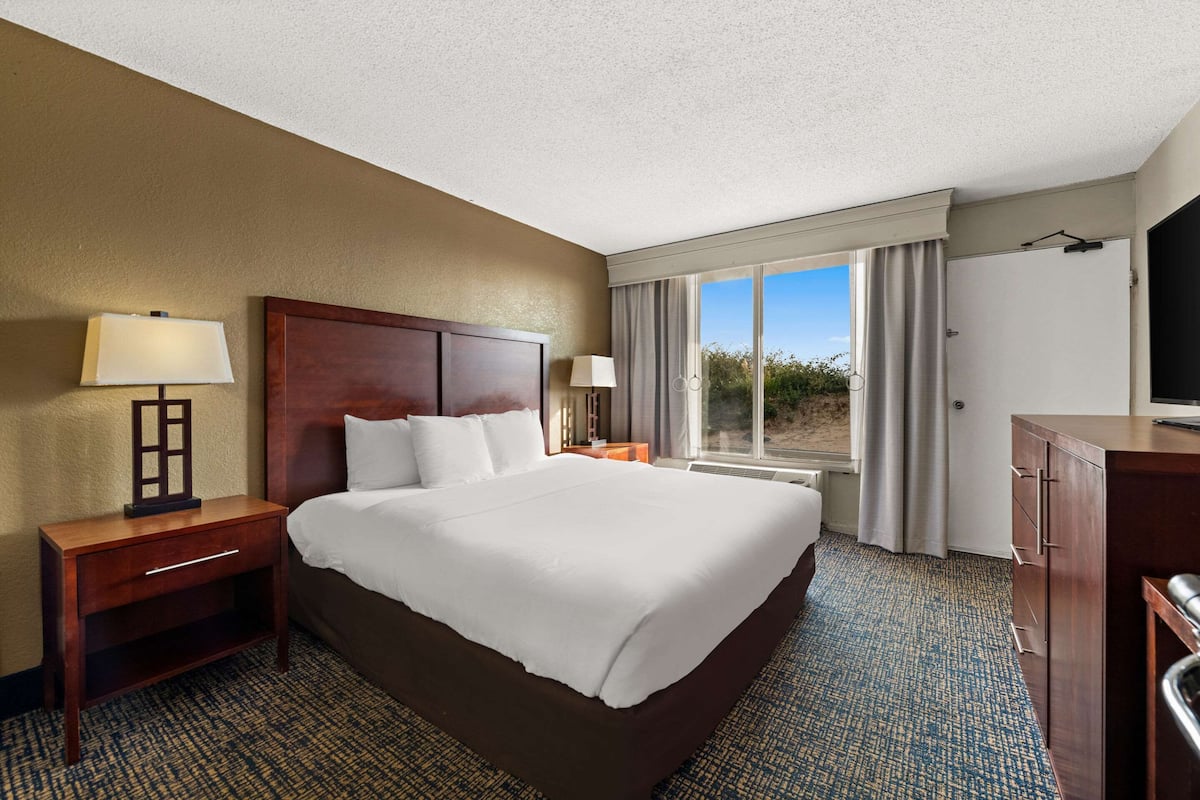 A hotel room with a large bed, a desk, a TV, and a window with curtains.