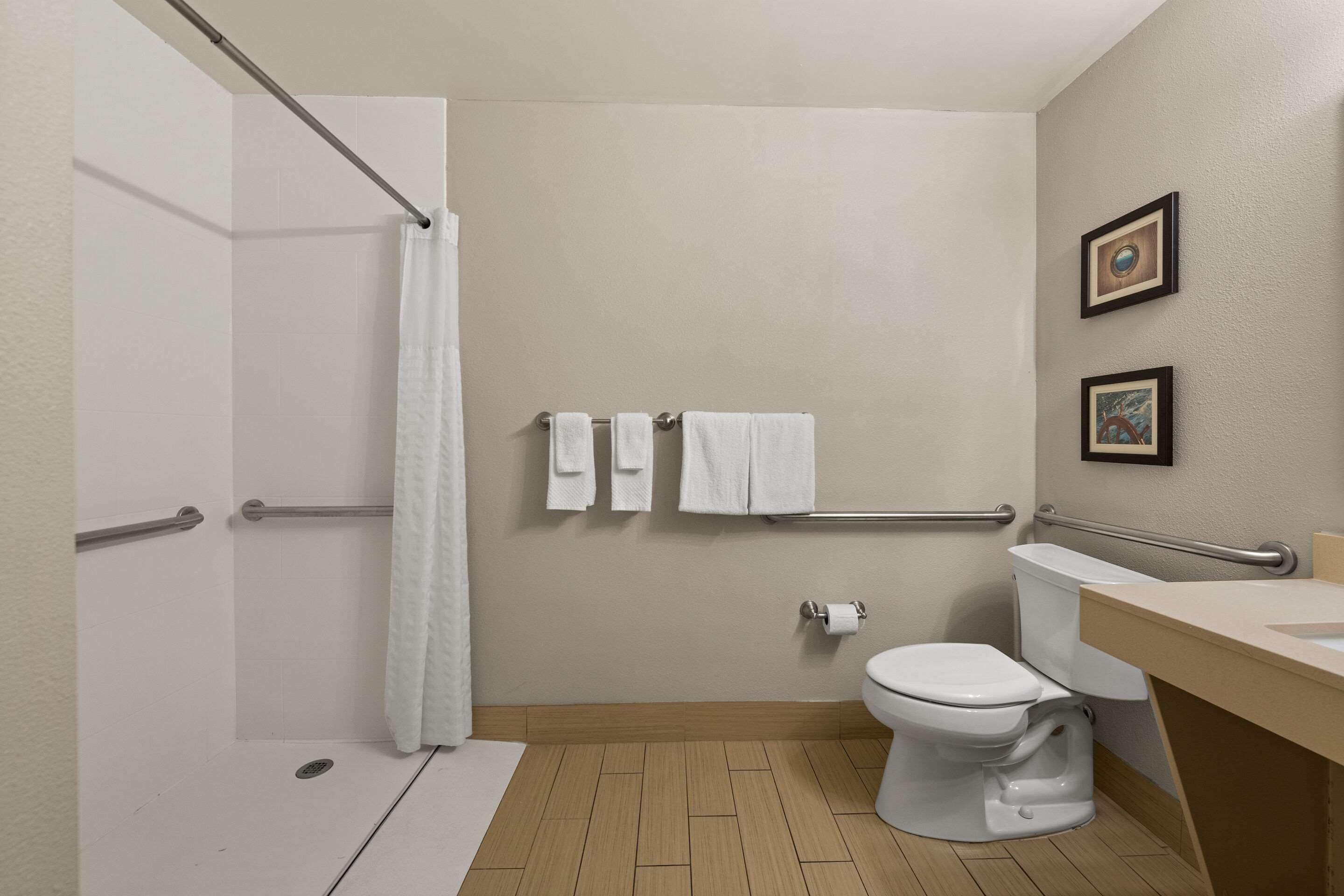 A bathroom with a shower, toilet, and sink. There are handrails, a towel rack, and a picture on the wall.