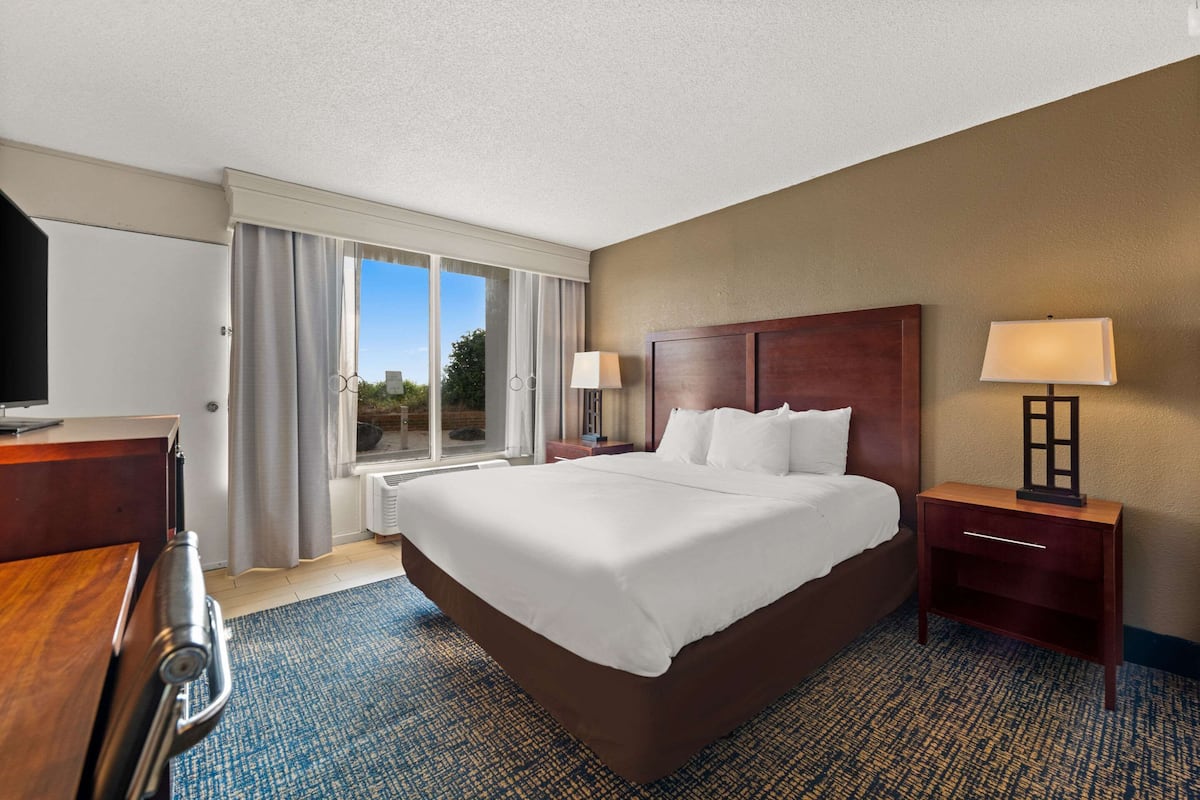 A hotel room with a large bed, a desk, a chair, a TV, a window with curtains, and a lamp.