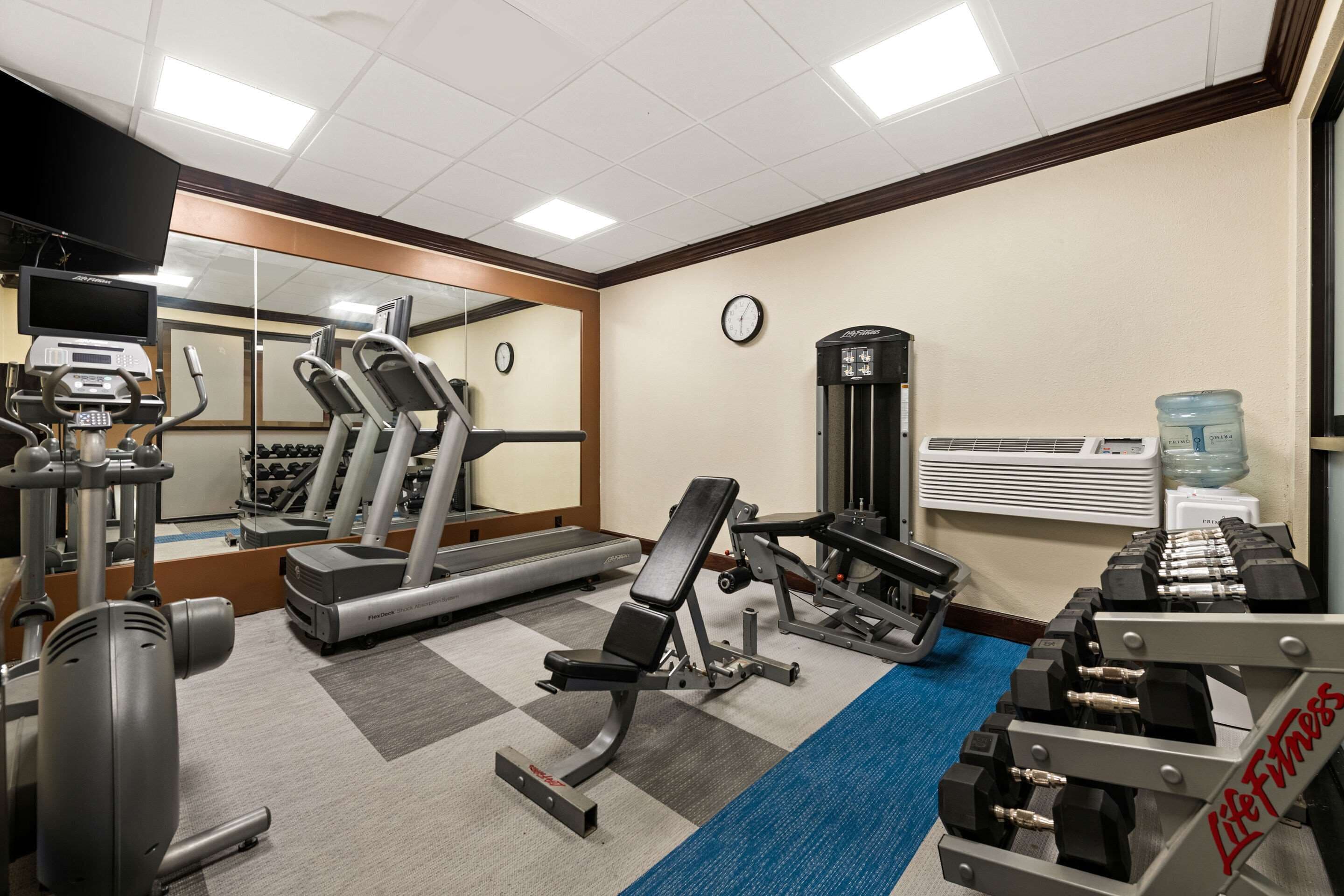A gym with treadmills, weight machines, and dumbbells.