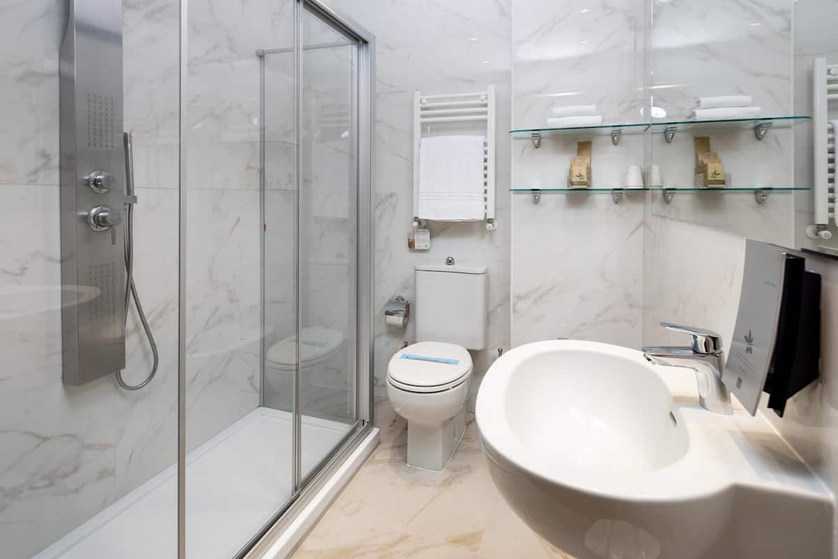 shower, free toiletries, hair dryer, bidet