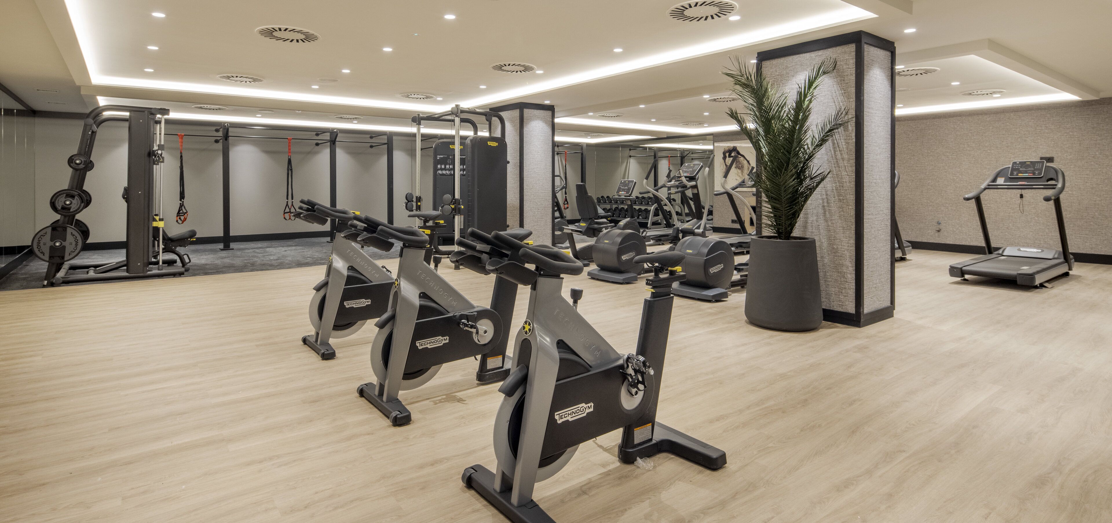 Un gimnasio moderno con diversos equipos de ejercicio, incluyendo cintas de correr, elípticas y estaciones de levantamiento de pesas.