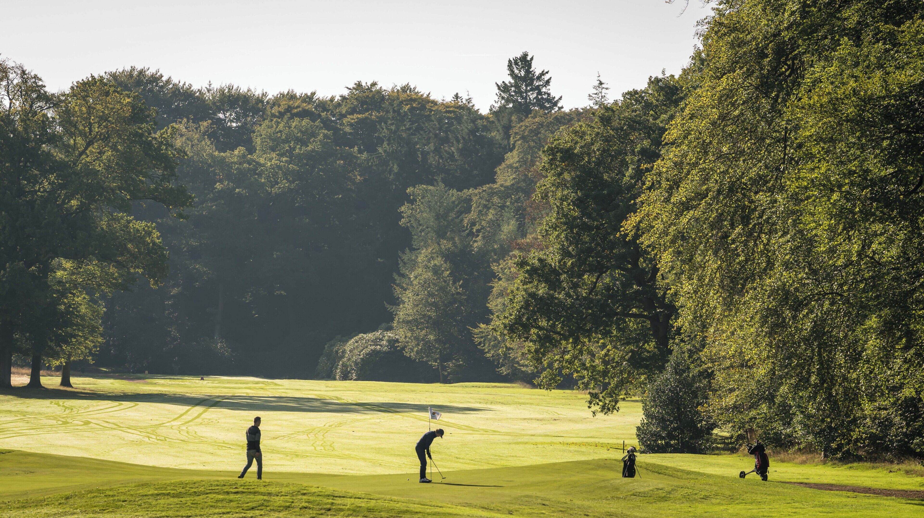 Ein Golfplatz mit Bäumen, einer Fahne und Spielern.