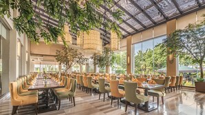 Un vaste espace de restauration intérieur, doté de nombreuses tables et chaises, de grandes fenêtres et de plantes suspendues.
