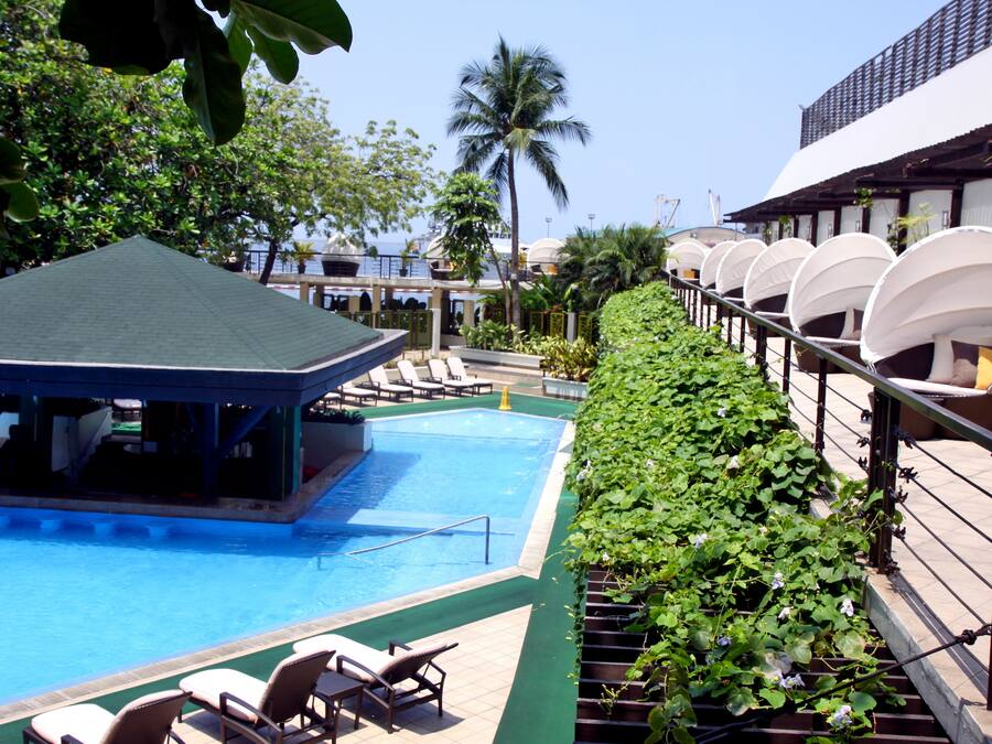 Outdoor pool, sun loungers
