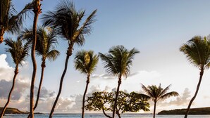 A poolside area with lounge chairs and palm trees, overlooking a body of water. - Le Sereno (St. Barthelemy)