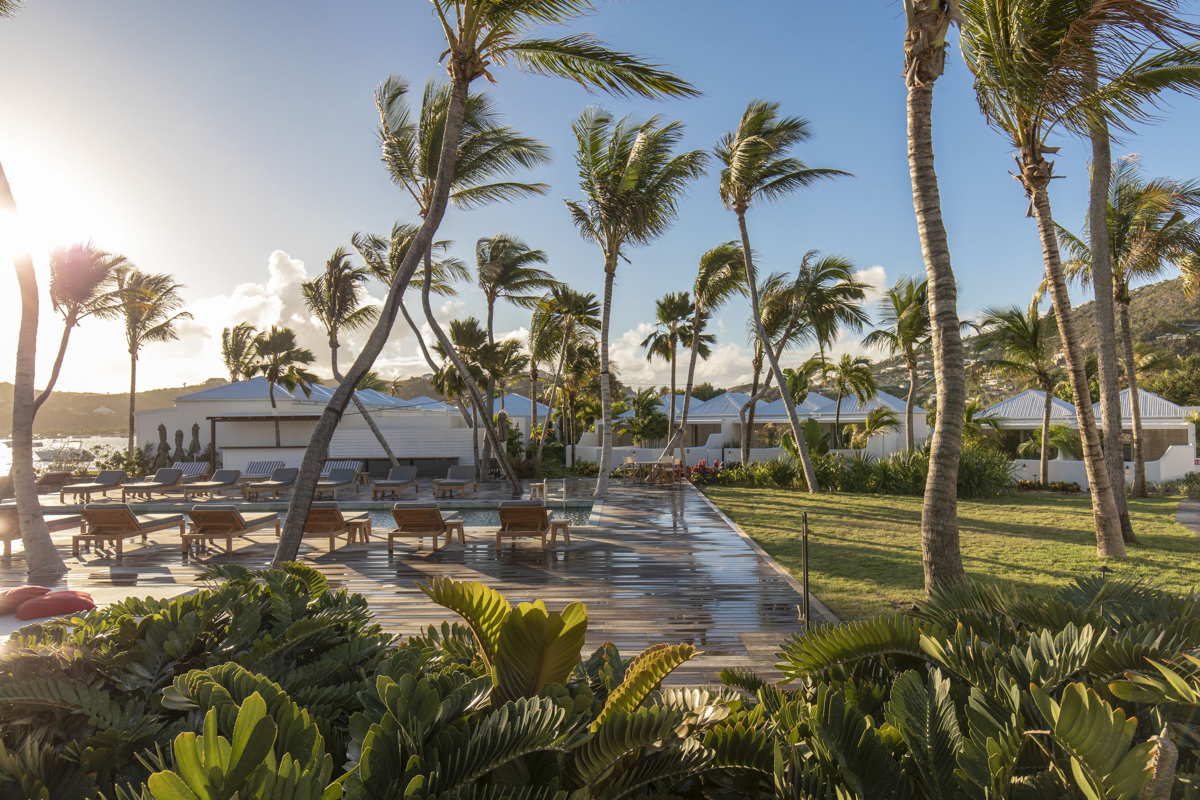 A resort with a pool area, lounge chairs, and palm trees.