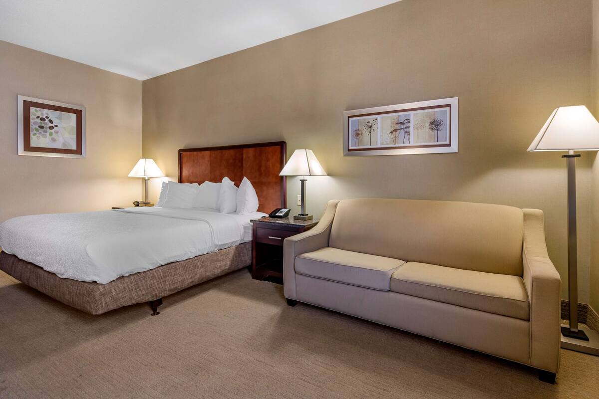 A hotel room with a bed, a bedside table with a lamp, a sofa, and two framed pictures on the walls.