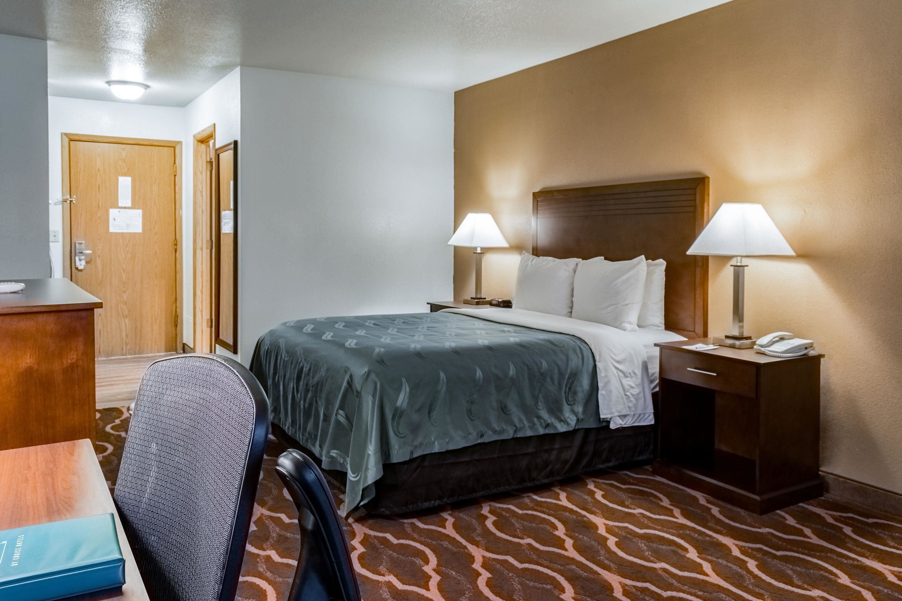 Una habitación de hotel con cama, dos lámparas de noche, escritorio con silla y alfombra estampada.