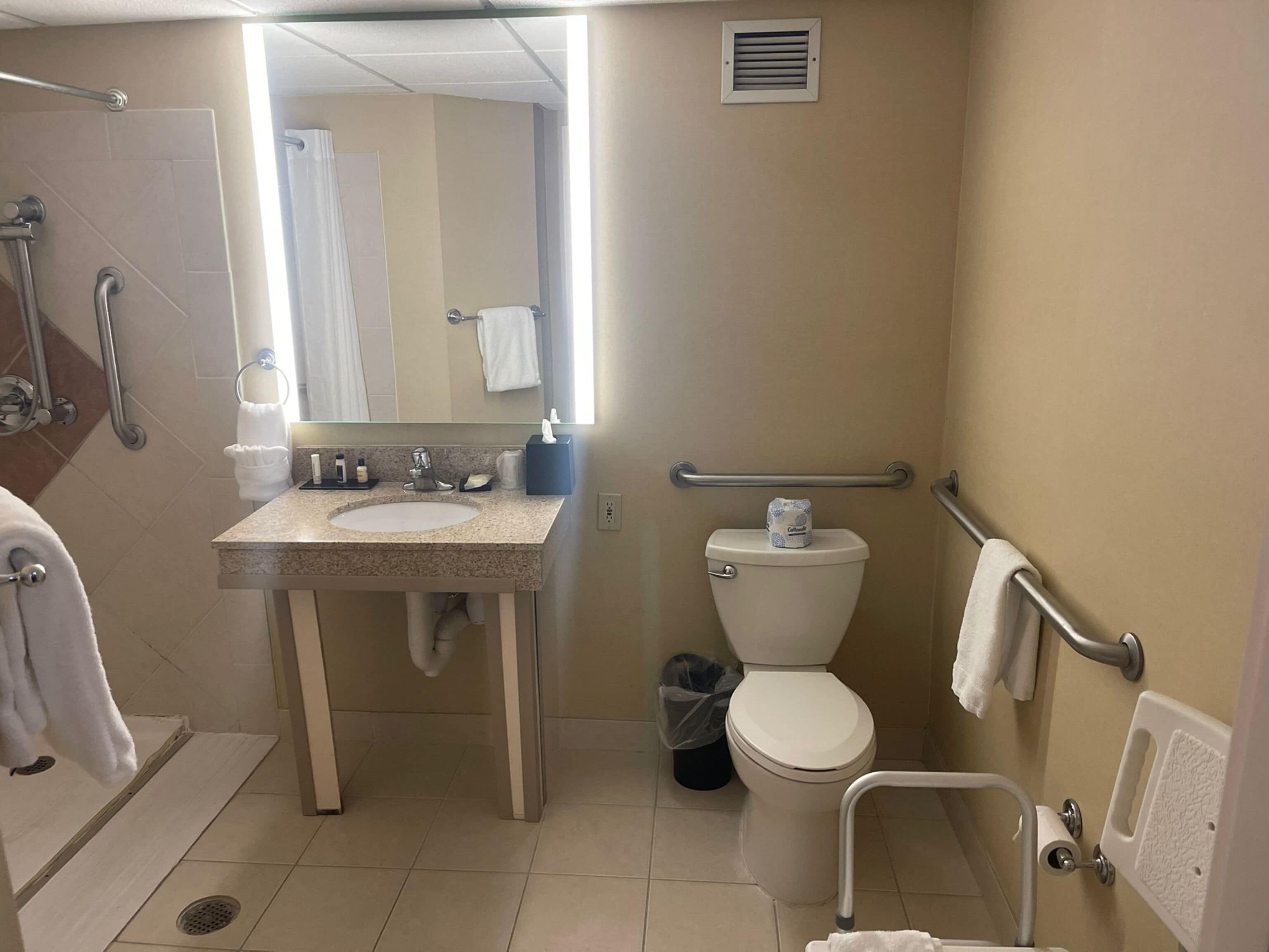A bathroom with a sink, toilet, and shower area, equipped with grab bars and a handrail.