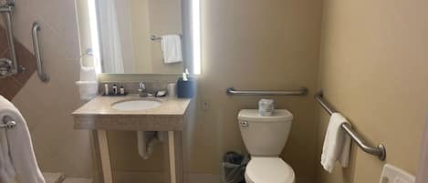 Ein Badezimmer mit Waschbecken, Toilette und Duschbereich, ausgestattet mit Haltegriffen und einer Handstange.