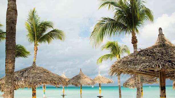 A beach with palm trees and thatched umbrellas, a sandy beach, and a calm sea. - Aruba Marriott Resort & Stellaris Casino (Noord)