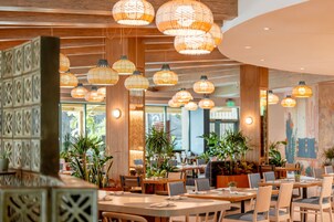 5 restaurantes, se sirven desayunos, comidas y cocina mediterránea
