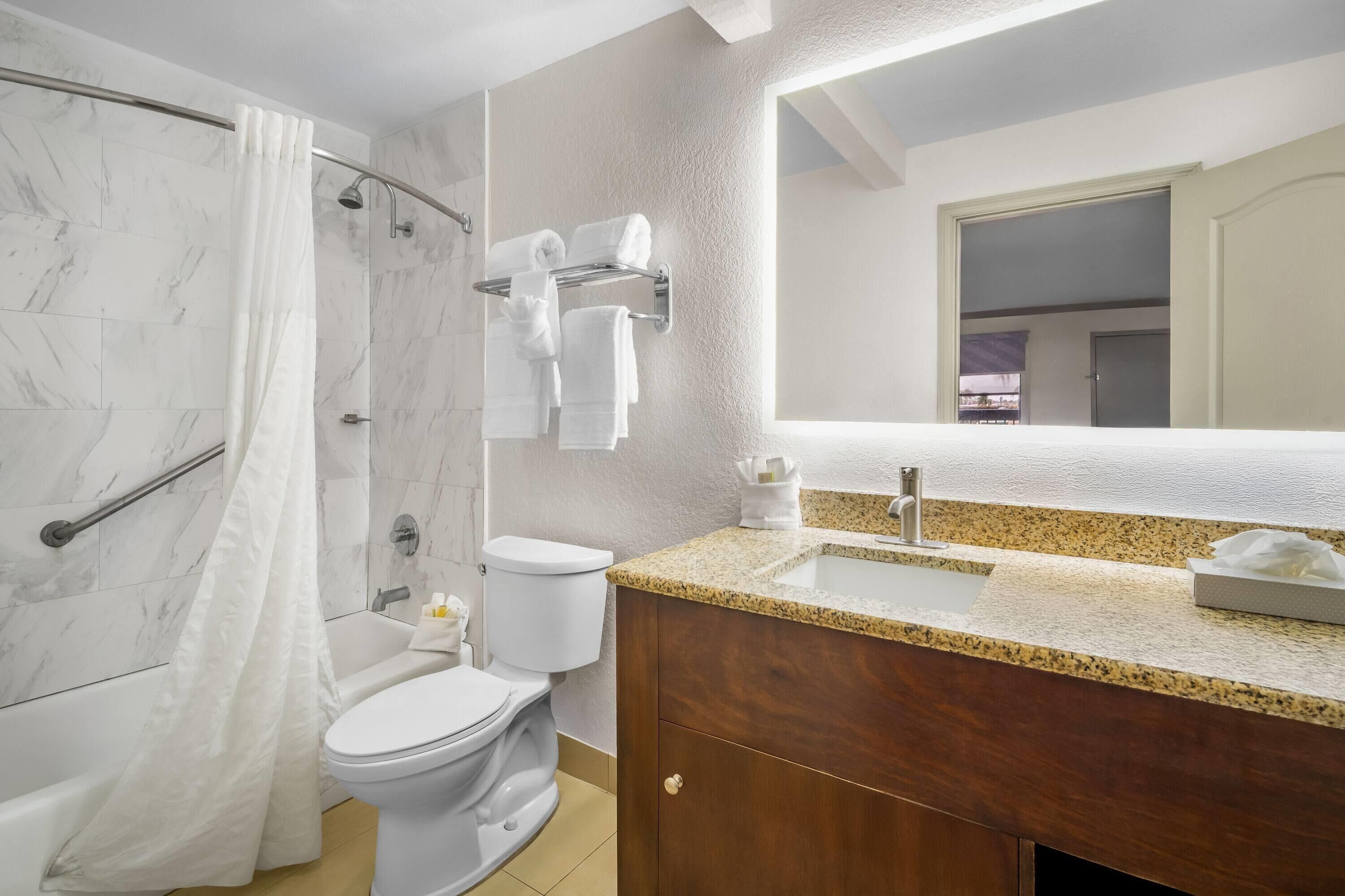 A bathroom with a shower, toilet, vanity, and a large mirror.