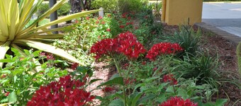 Days Inn by Wyndham Florida City