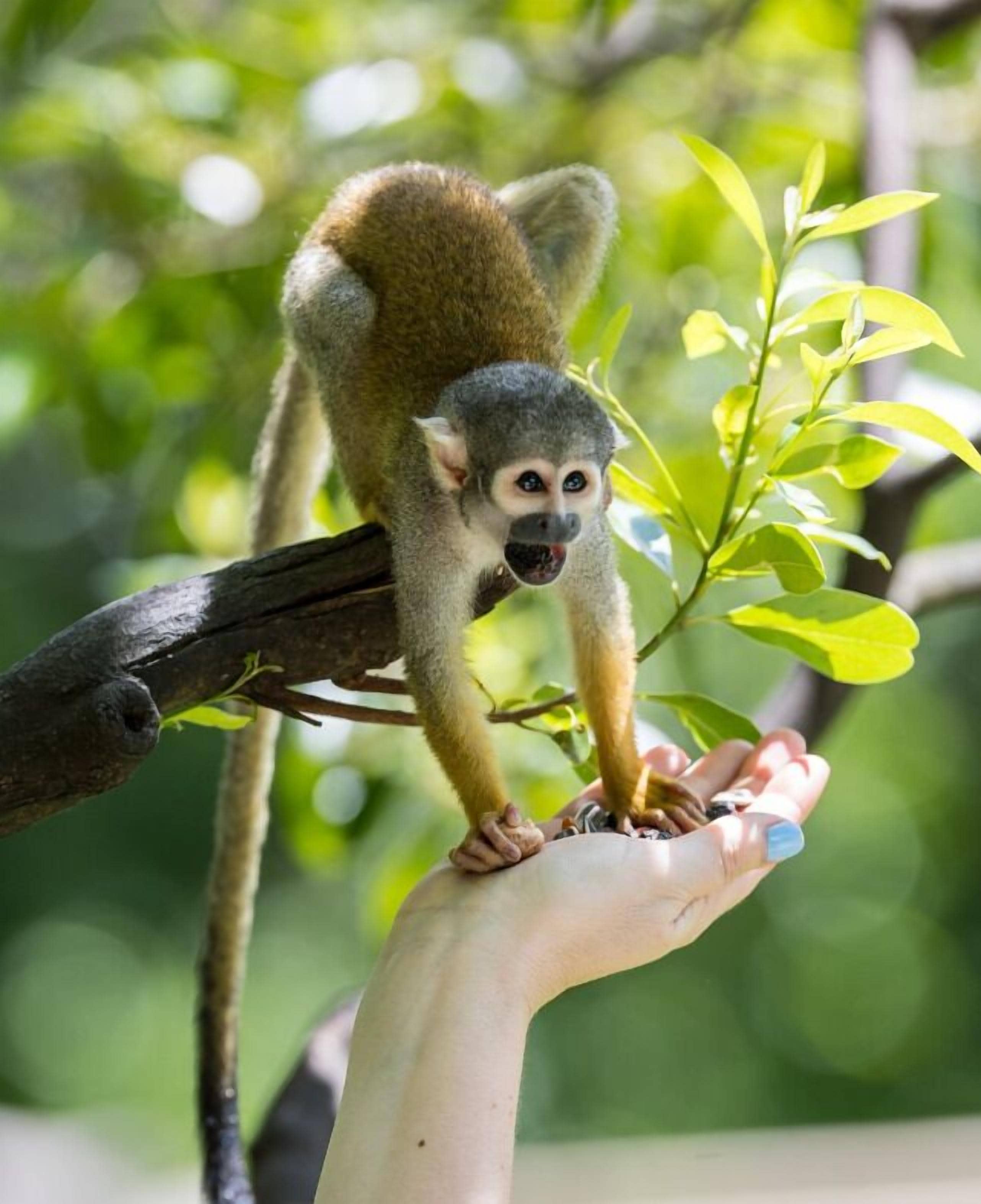 Photo - Days Inn by Wyndham Florida City