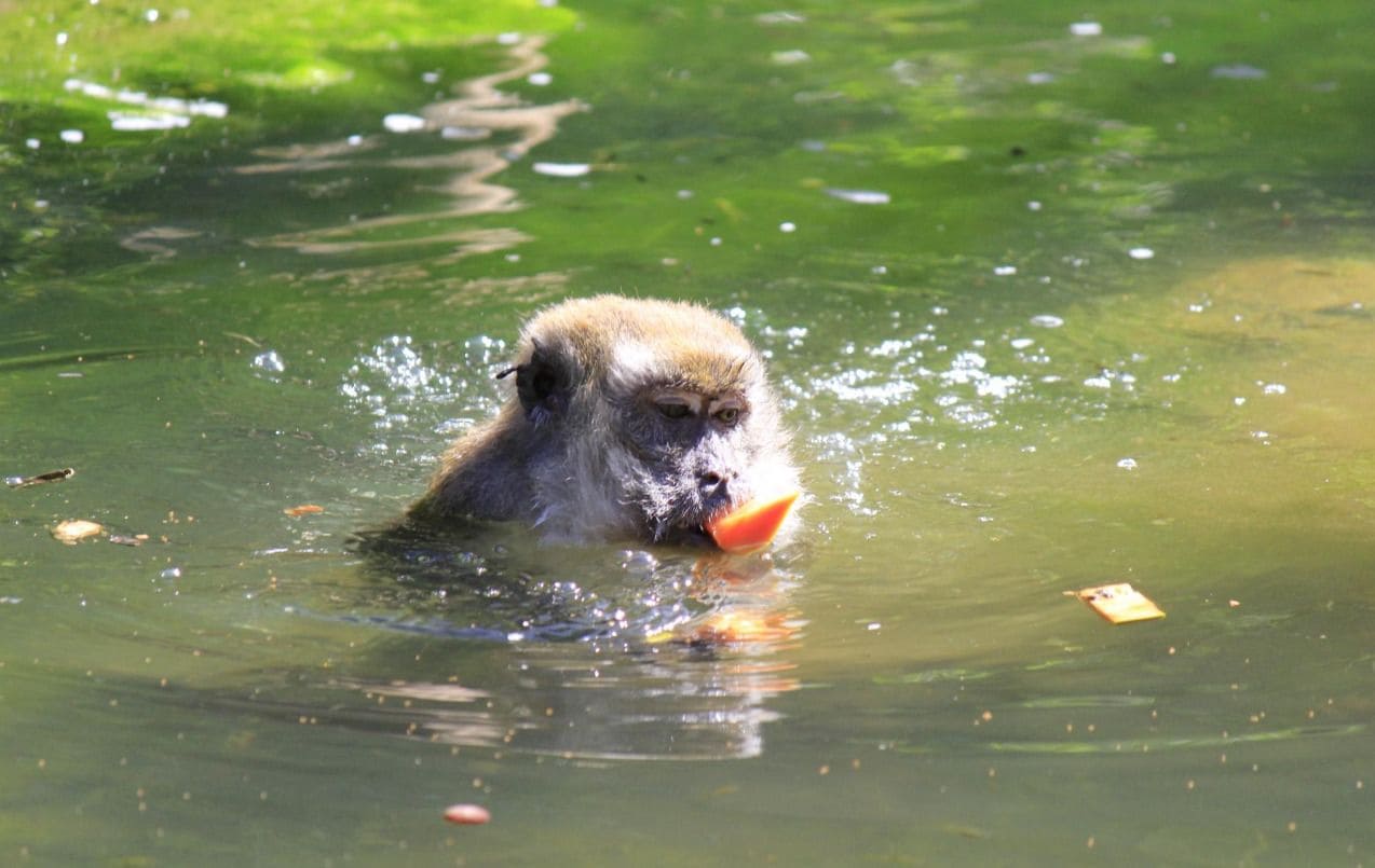 Photo - Days Inn by Wyndham Florida City