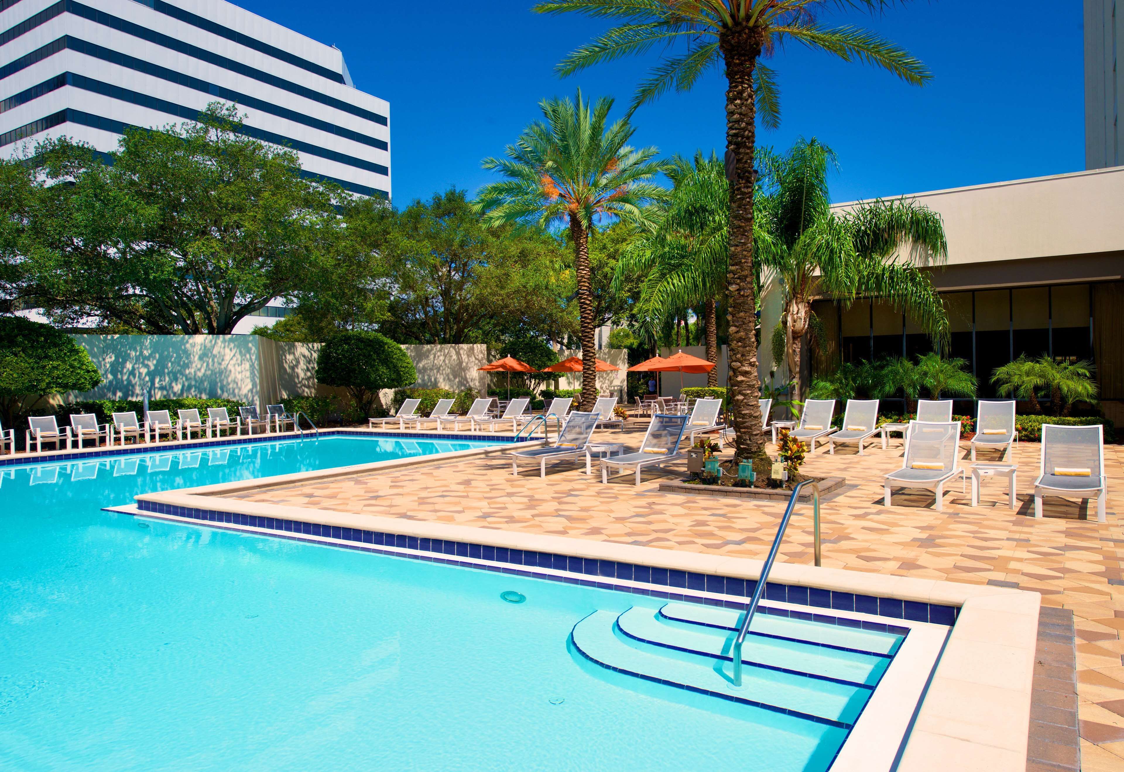 Una piscina con sillas de descanso y palmeras.