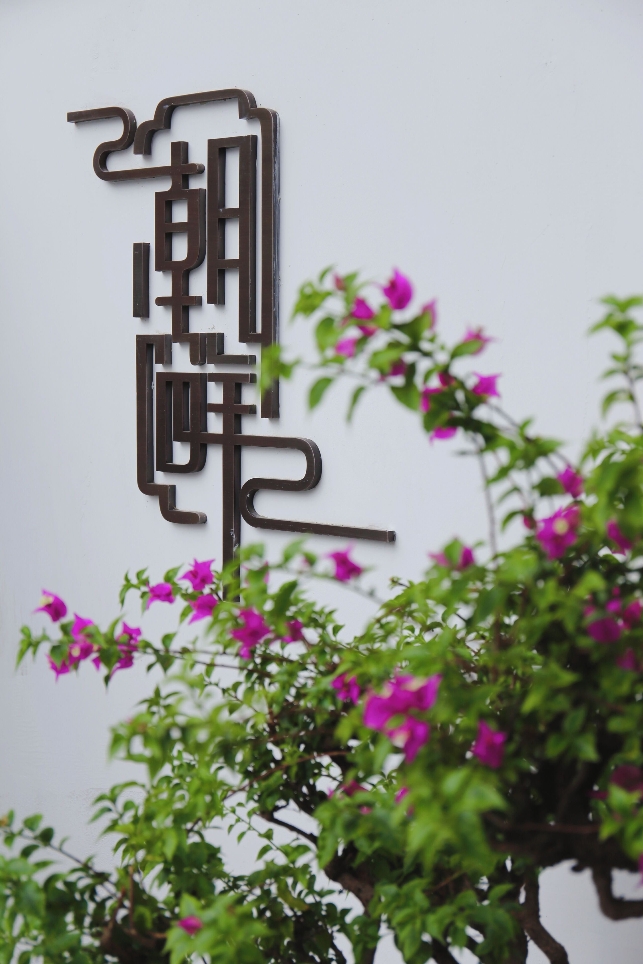 A wall-mounted sign with a geometric design, surrounded by green foliage and pink flowers.