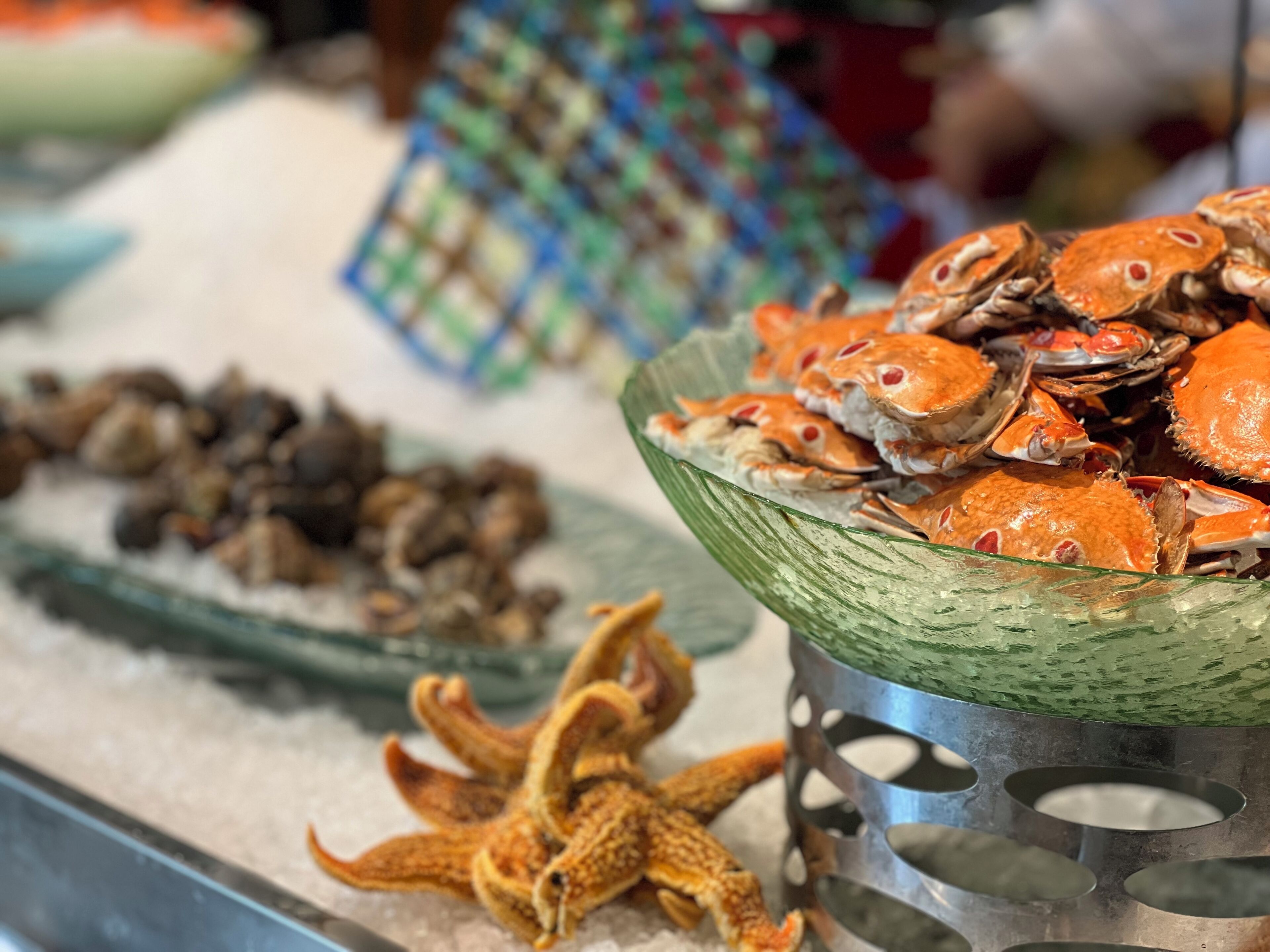 A seafood display with crabs and starfish on ice.