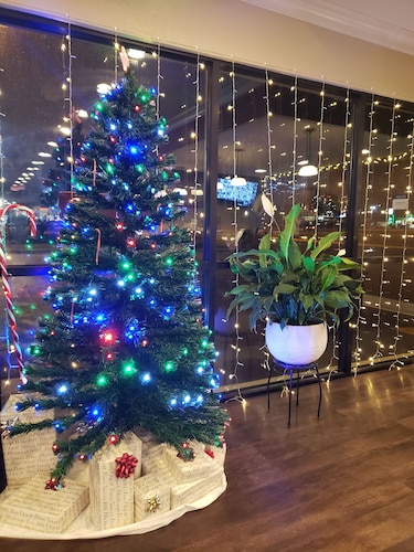 Best Western Point South