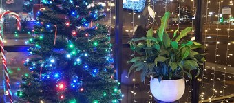 Best Western Point South