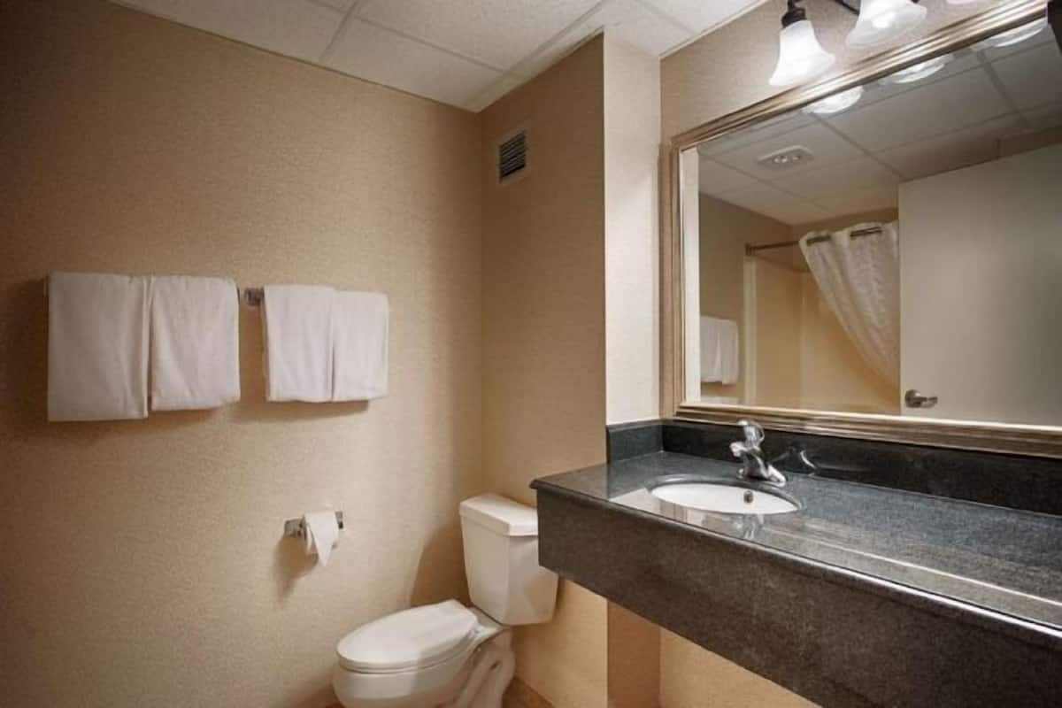 Bathroom | Combined shower/bathtub, free toiletries, hair dryer, towels