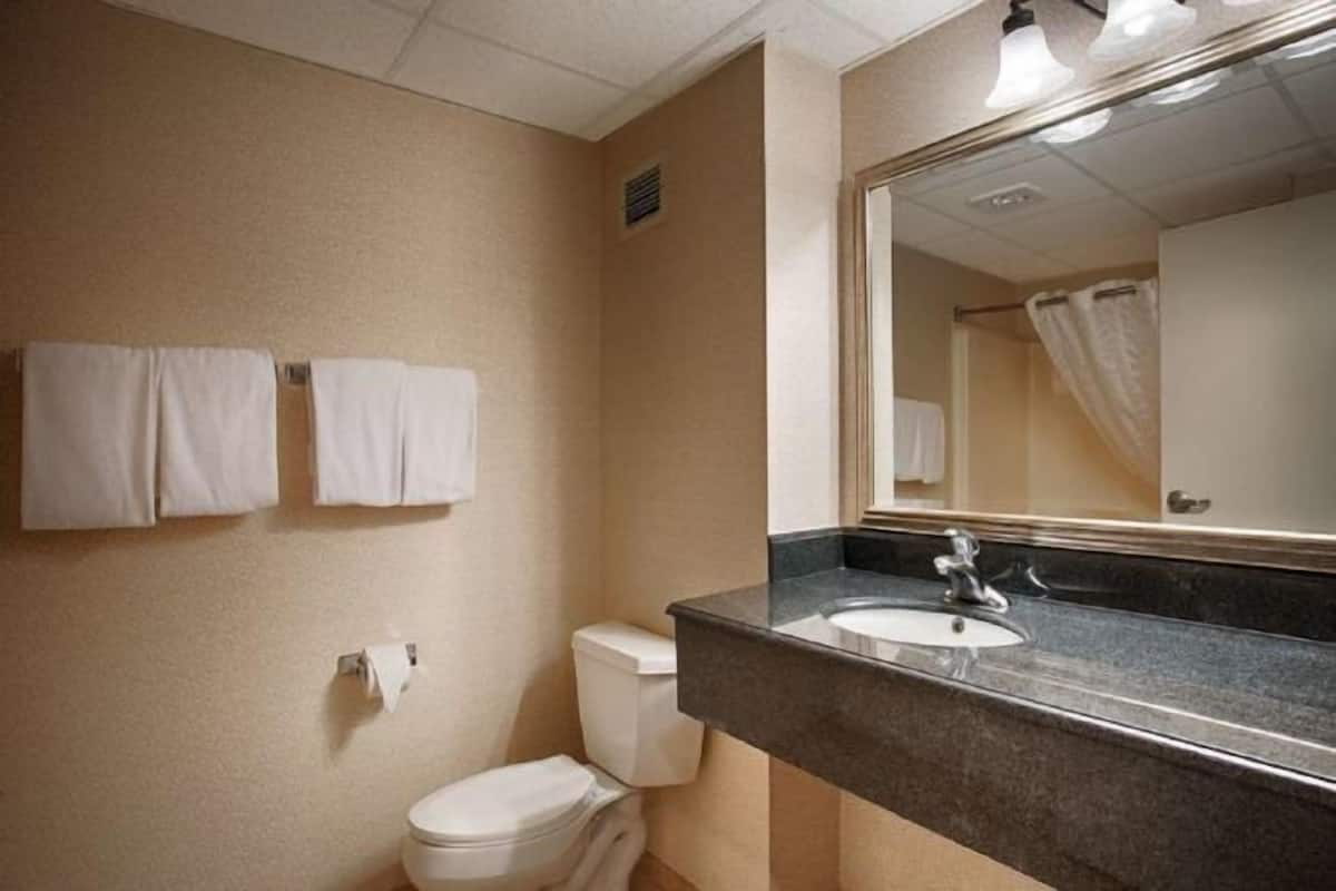 Combined shower/bathtub, free toiletries, hair dryer, towels