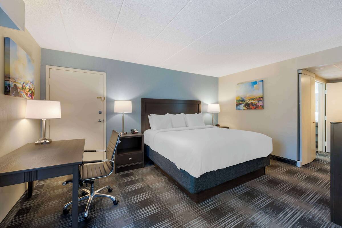 Een hotelkamer met een bed, bureau, stoel, nachtkastje en lampen.