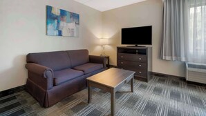 Une chambre d’hôtel avec un canapé, une télévision, une lampe et une fenêtre avec des rideaux.