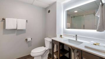 A modern bathroom with a toilet, sink, and mirror.