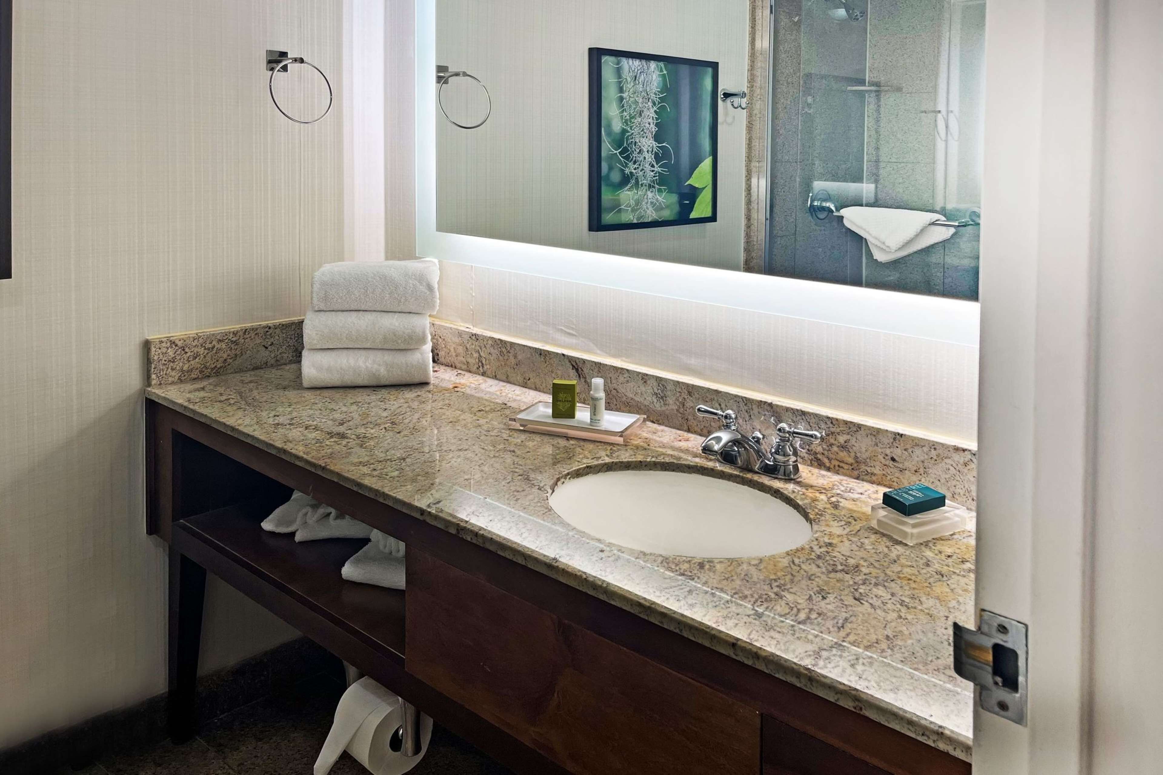 combined shower/bathtub, hair dryer, towels, soap