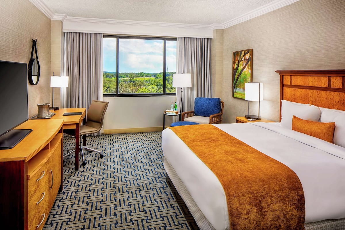 A hotel room with a large bed, a desk with a chair, a TV, and a view of greenery outside.
